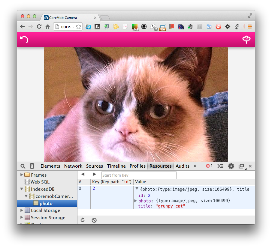 IndexedDB in Coremob Camera app screenshot