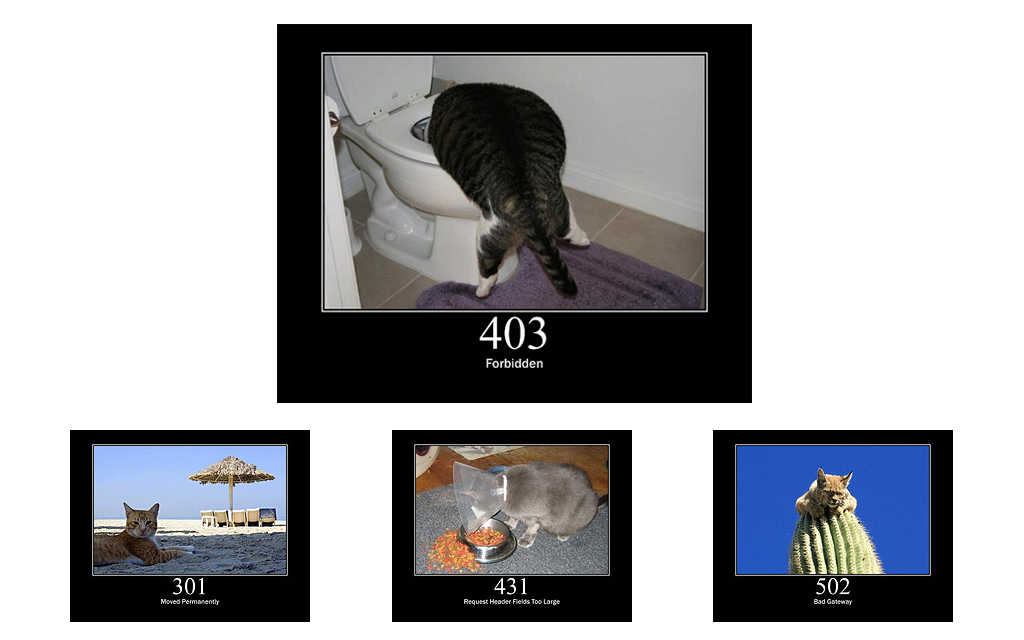 HTTP Status Cats